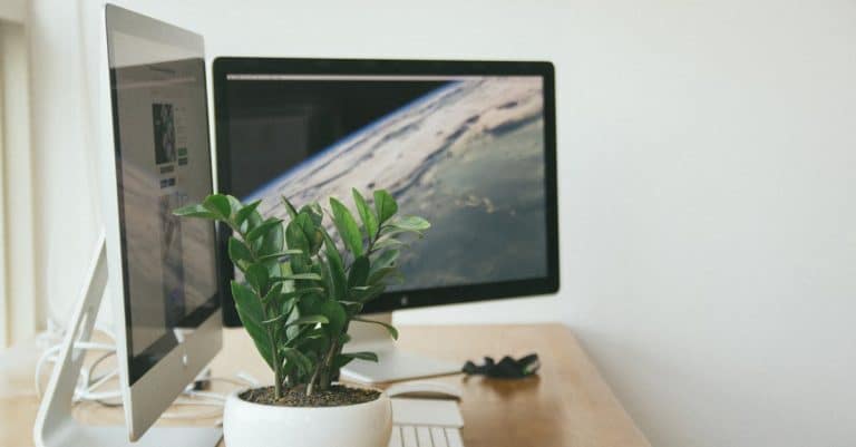 Comment se lancer en freelance : les bases à connaître ?