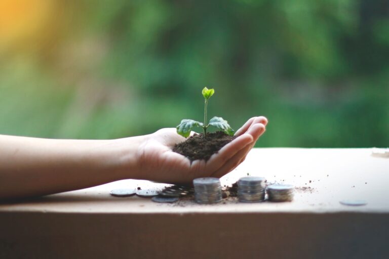 Comment mettre en place une stratégie de croissance durable en freelance ?