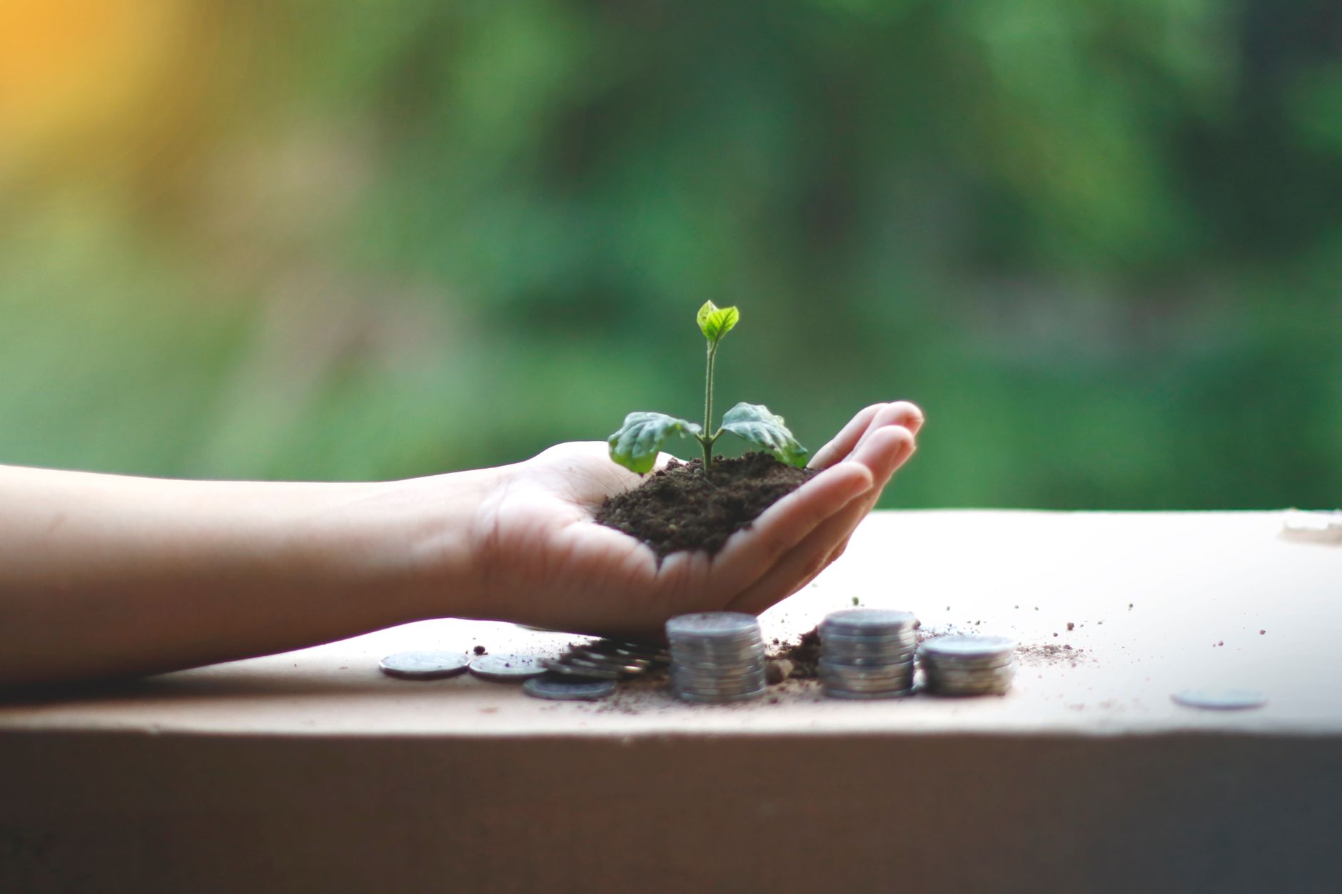 Comment mettre en place une stratégie de croissance durable en freelance ?